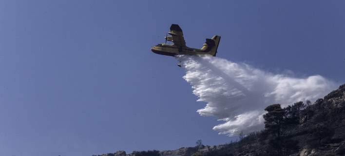 Υπό έλεγχο η φωτιά που ξέσπασε στο παραποτάμιο δάσος του Νέστου